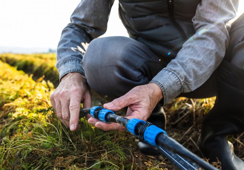 Sprinkler Valve Repair in Aiken, SC